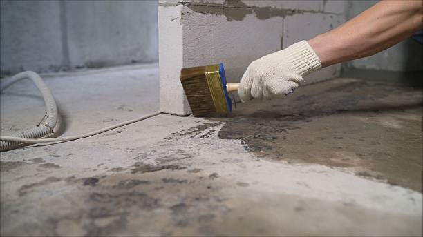 24/7 Emergency Basement Waterproofing experts in Bellevue, IL